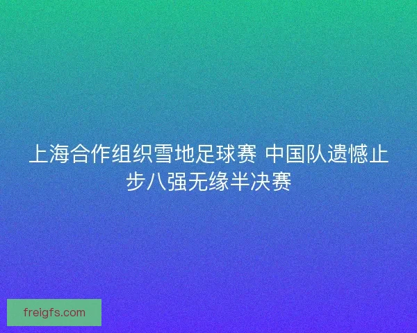上海合作组织雪地足球赛 中国队遗憾止步八强无缘半决赛